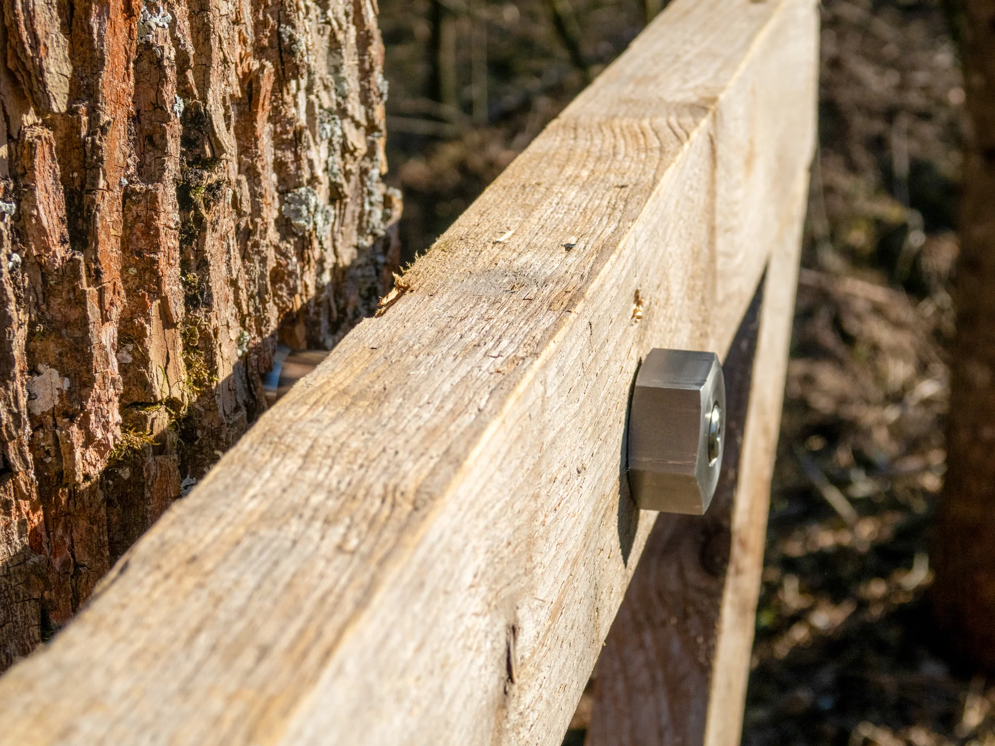 GTS Free – Baumschraube bis 1.400 kg Tragkraft - Image 3