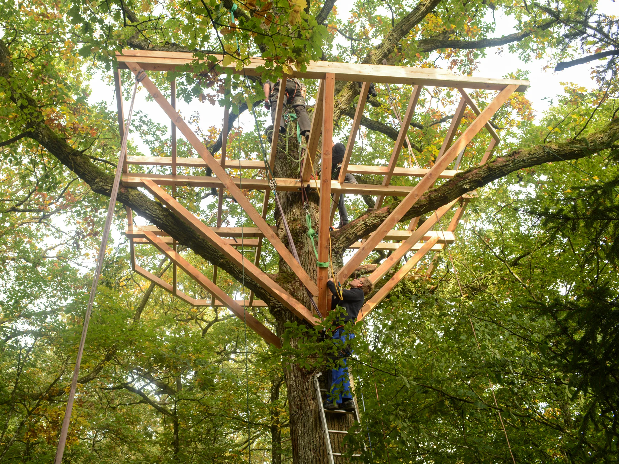 XXL Baumhaus-Bausatz für 1–2 Bäume, Dreieck GTS+ - Image 5