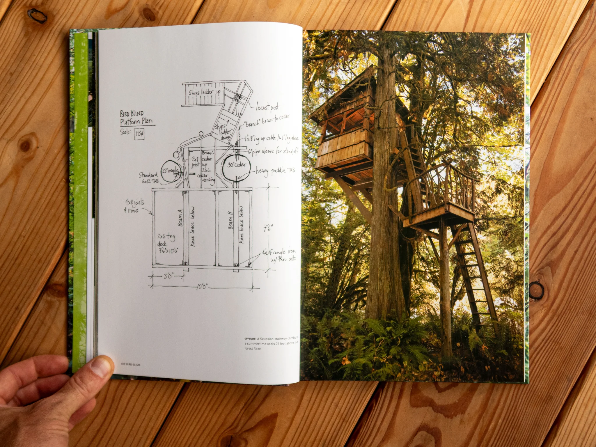 Baumhaus-Buch "Pete Nelson – Be in a Treehouse" - Image 14