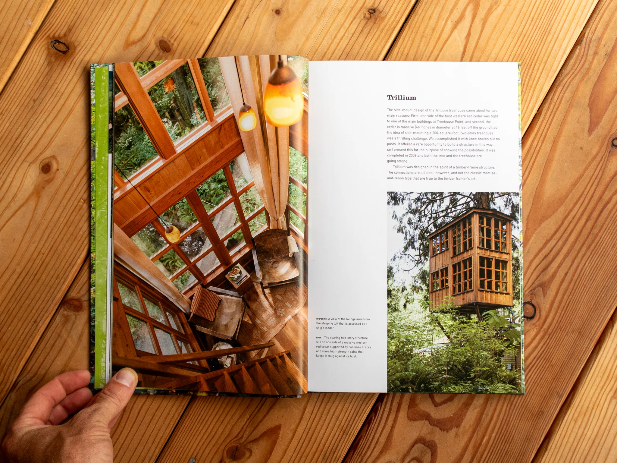 Baumhaus-Buch "Pete Nelson – Be in a Treehouse" - Image 5
