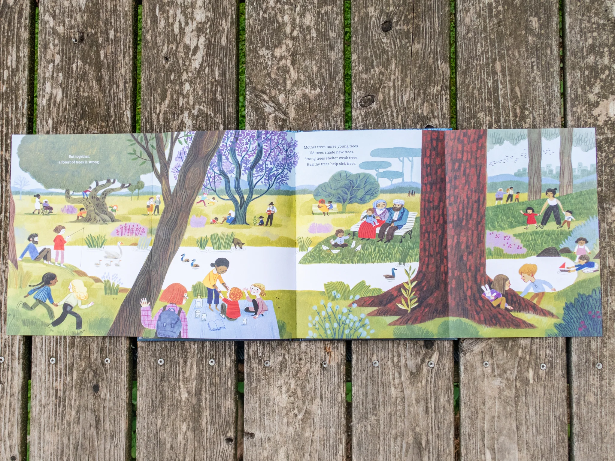 Baumhaus-KinderBuch "Be a Tree!" - Image 7