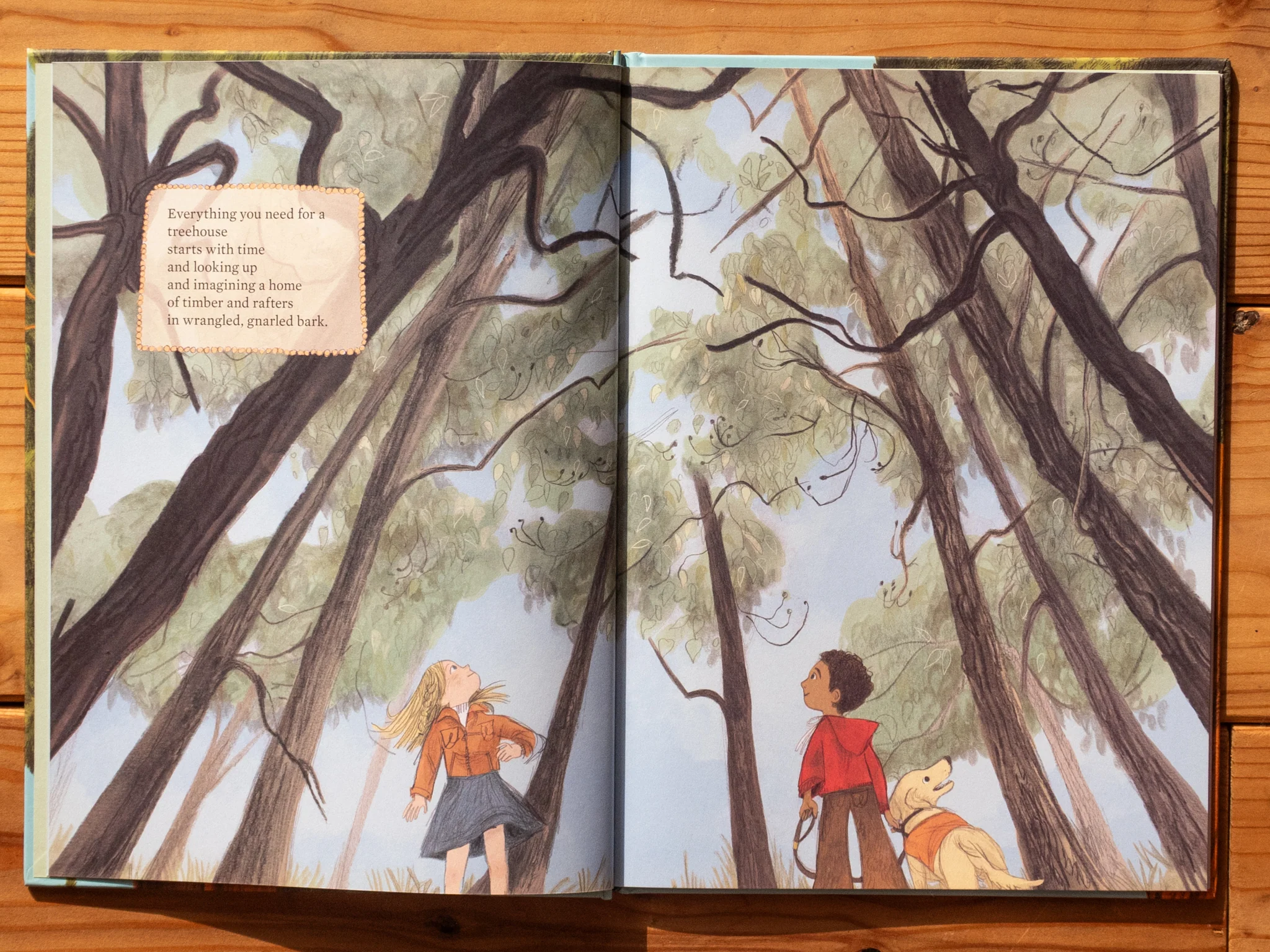 Baumhaus-KinderBuch "Everything you need for a Treehouse" - Image 3
