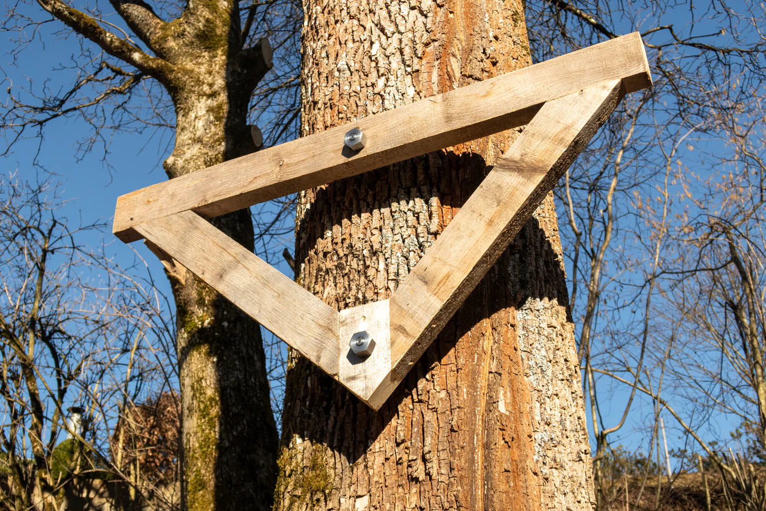 GTS Free – Baumschraube bis 1.400 kg Tragkraft - Image 4