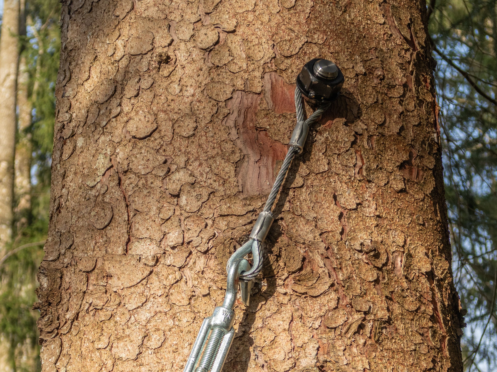GTS Safety – Baumschraube bis 1.100 kg Tragkraft - Image 6