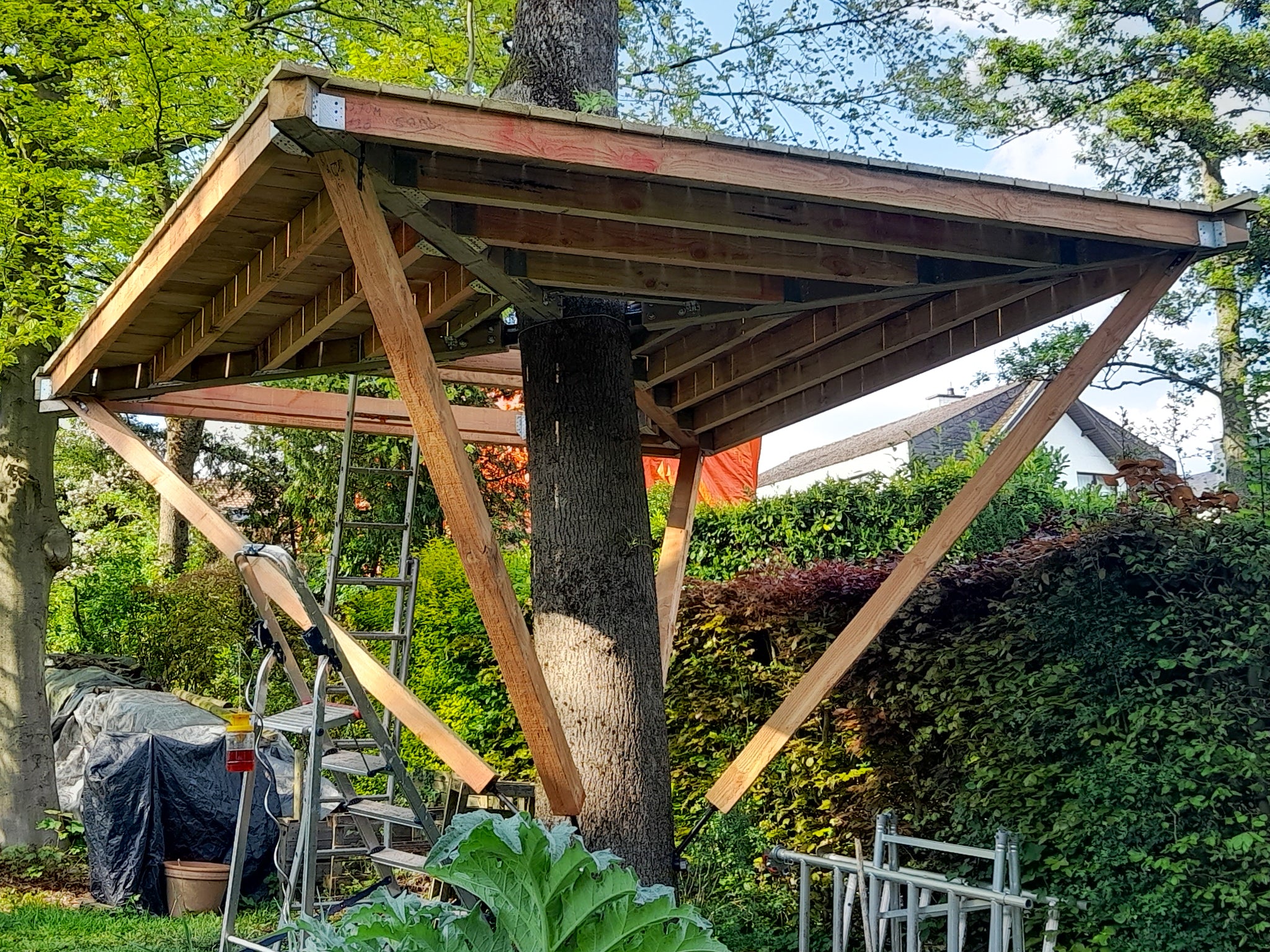 GTS Side – Baumschraube bis 1.200 kg Tragkraft - Image 8