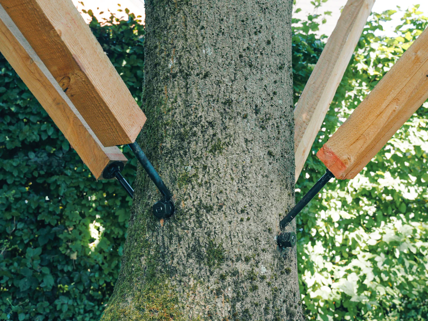 GTS Safety – Baumschraube bis 1.100 kg Tragkraft - Image 5