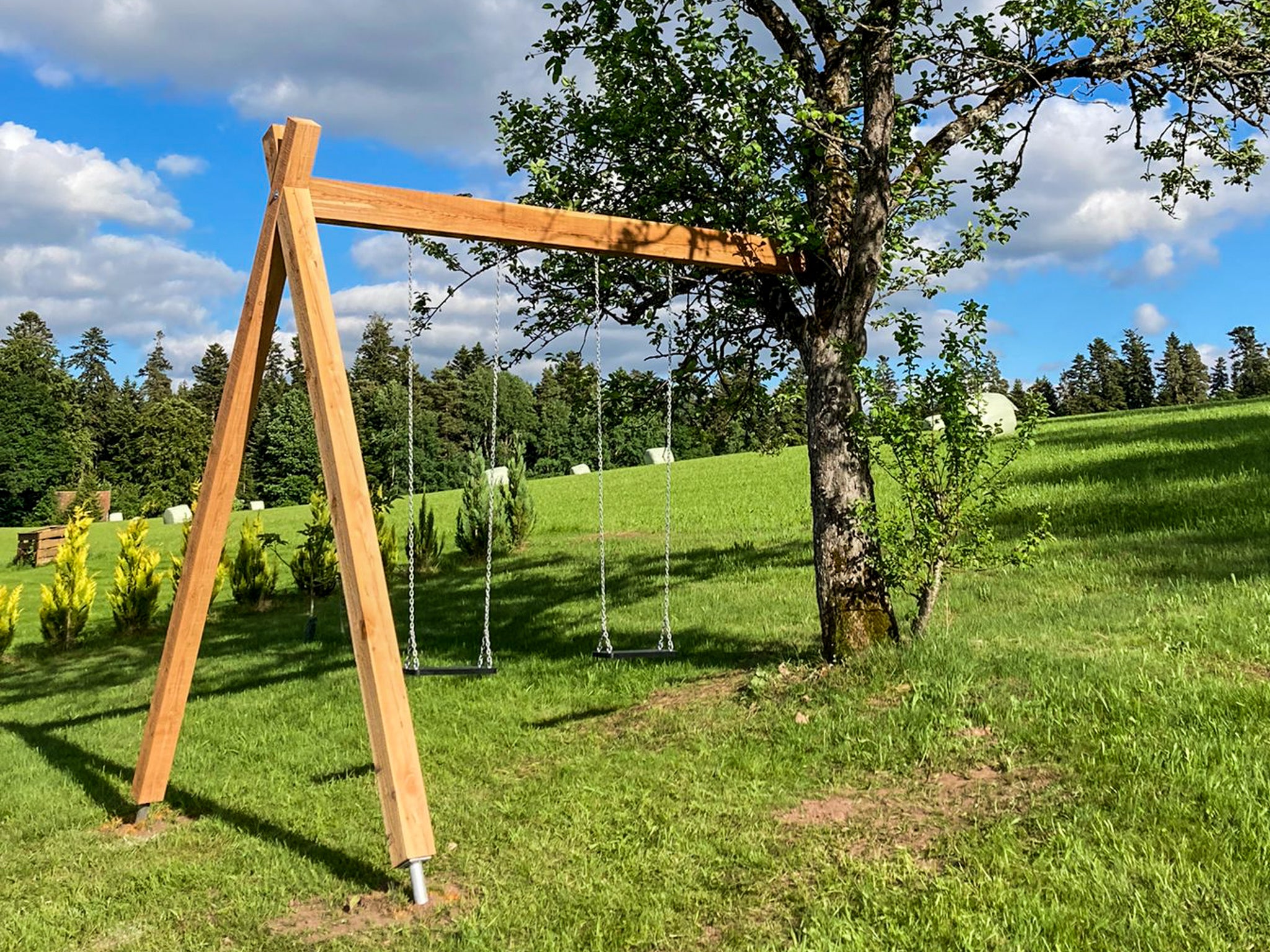 Schaukelbalken-Halterung für 1 Baum, mit GTS-Baumschraube - Image 3
